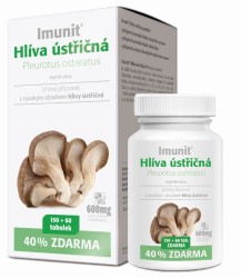 Hlíva ústřičná